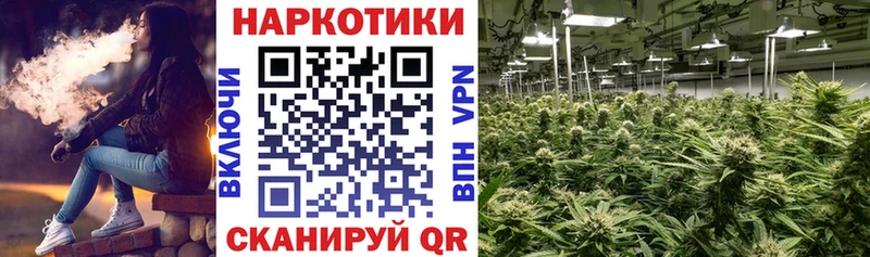 Магазины продажи наркотиков Гусиноозёрск Каннабис  Альфа ПВП  Псилоцибиновые грибы  ГАШИШ  Меф мяу мяу  Cocaine 