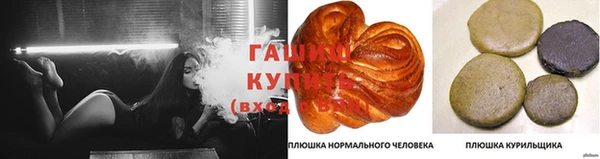 хмурый Горняк