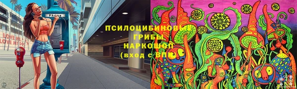 хмурый Горняк