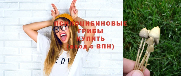 MESCALINE Вяземский
